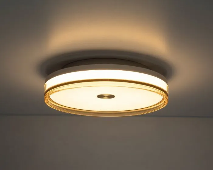 LED Steel Frame with Smoke Brown Edge and Acrylic Diffuser Flush Mount