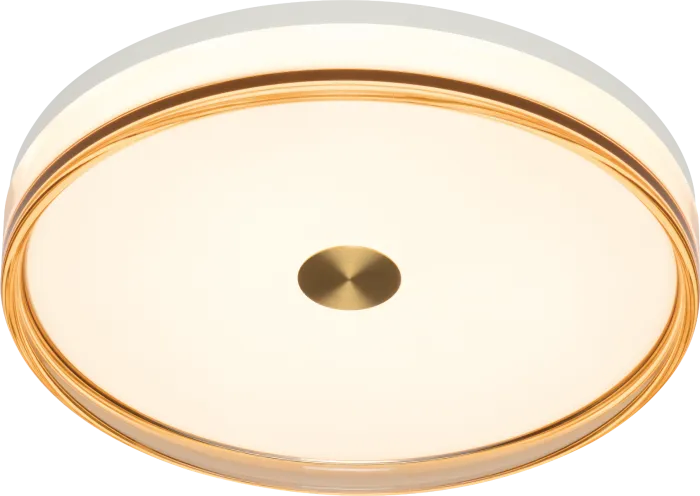 LED Steel Frame with Smoke Brown Edge and Acrylic Diffuser Flush Mount