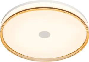 LED Steel Frame with Smoke Brown Edge and Acrylic Diffuser Flush Mount