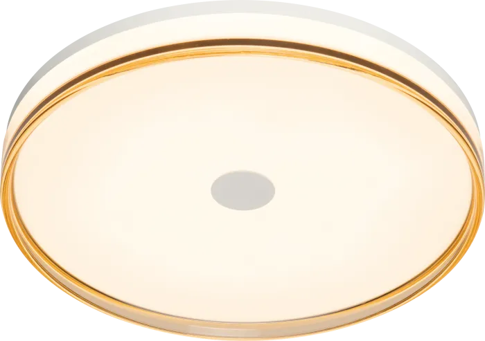 LED Steel Frame with Smoke Brown Edge and Acrylic Diffuser Flush Mount